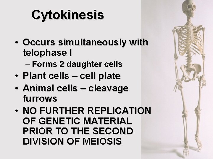Cytokinesis • Occurs simultaneously with telophase I – Forms 2 daughter cells • Plant Cytokinesis • Occurs simultaneously with telophase I – Forms 2 daughter cells • Plant