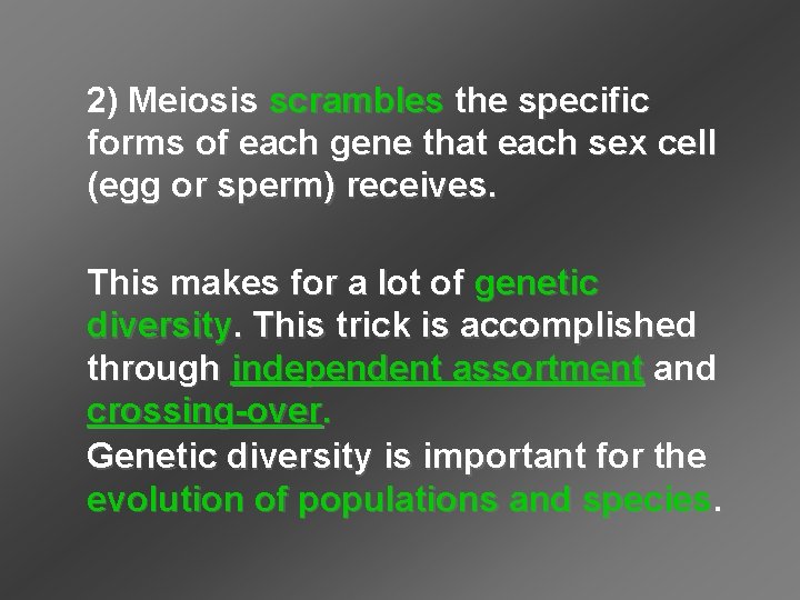 2) Meiosis scrambles the specific forms of each gene that each sex cell (egg 2) Meiosis scrambles the specific forms of each gene that each sex cell (egg