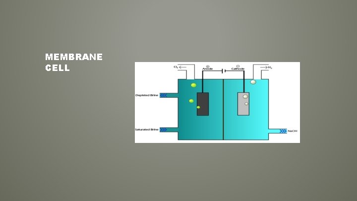 MEMBRANE CELL 