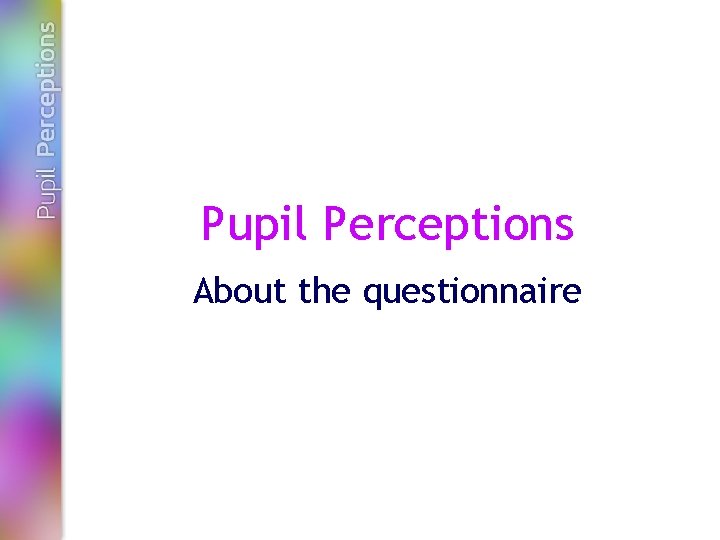 Pupil Perceptions About the questionnaire 