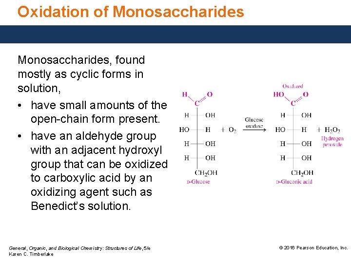 Oxidation of Monosaccharides, found mostly as cyclic forms in solution, • have small amounts