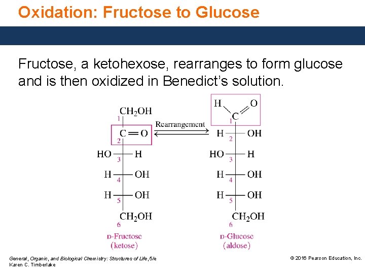 Oxidation: Fructose to Glucose Fructose, a ketohexose, rearranges to form glucose and is then