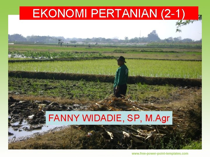 EKONOMI PERTANIAN (2 -1) FANNY WIDADIE, SP, M. Agr umi/Eko. Per/1. Pendahuluan 