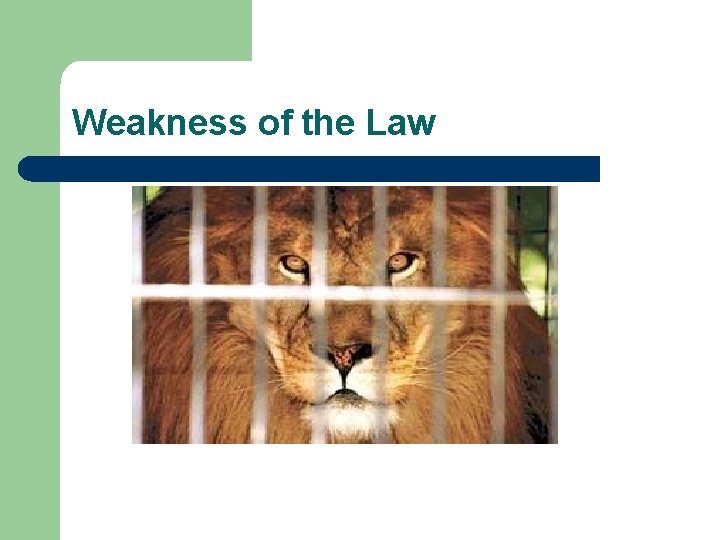 Weakness of the Law 
