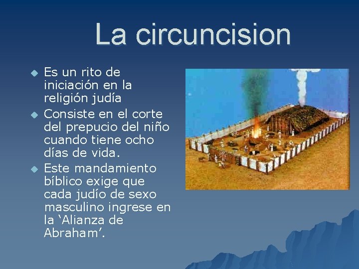 La circuncision u u u Es un rito de iniciación en la religión judía