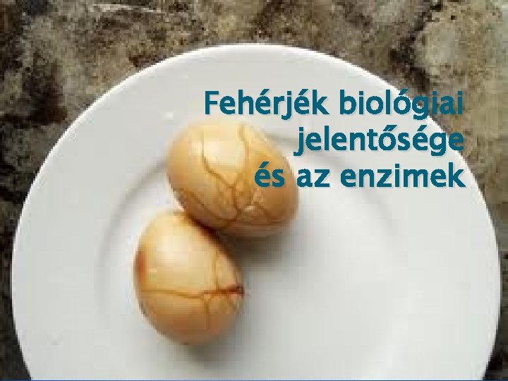 Fehérjék biológiai jelentősége és az enzimek 