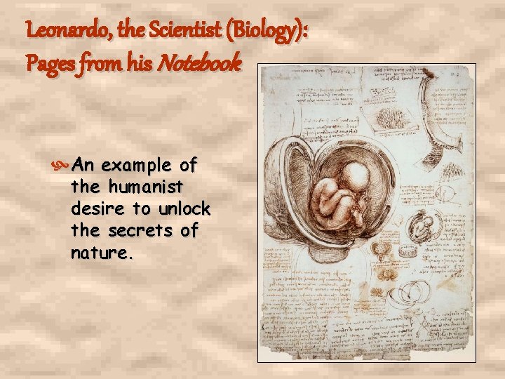 Leonardo, the Scientist (Biology): Pages from his Notebook An example of the humanist desire Leonardo, the Scientist (Biology): Pages from his Notebook An example of the humanist desire