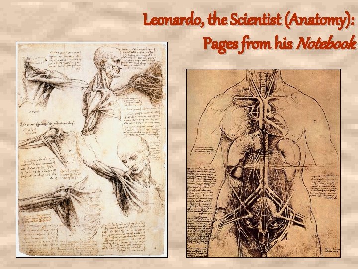 Leonardo, the Scientist (Anatomy): Pages from his Notebook Leonardo, the Scientist (Anatomy): Pages from his Notebook