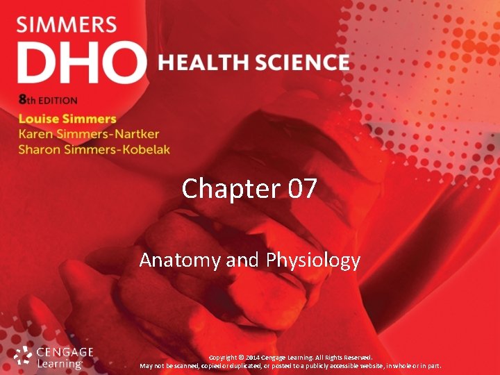 Chapter 07 Anatomy and Physiology Copyright © 2014 Cengage Learning. All Rights Reserved. May