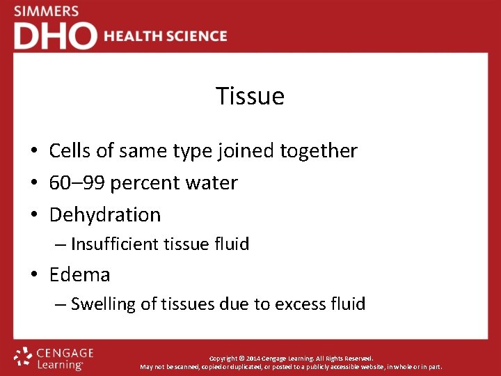 Tissue • Cells of same type joined together • 60– 99 percent water •