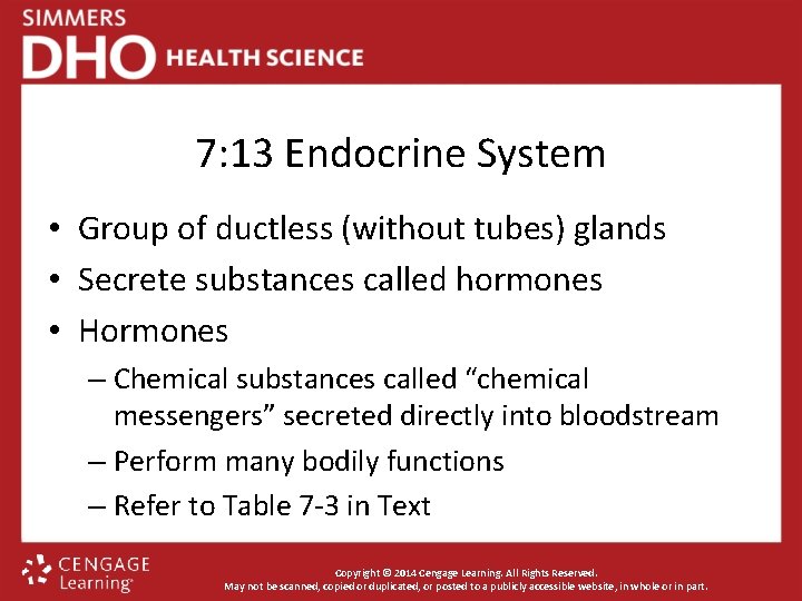 7: 13 Endocrine System • Group of ductless (without tubes) glands • Secrete substances