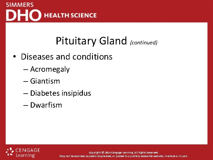 Pituitary Gland (continued) • Diseases and conditions – Acromegaly – Giantism – Diabetes insipidus