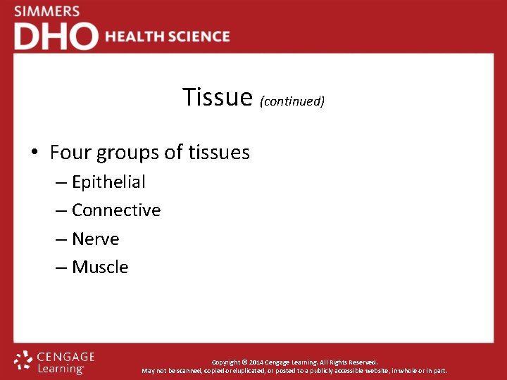 Tissue (continued) • Four groups of tissues – Epithelial – Connective – Nerve –