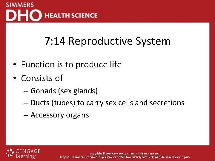 7: 14 Reproductive System • Function is to produce life • Consists of –