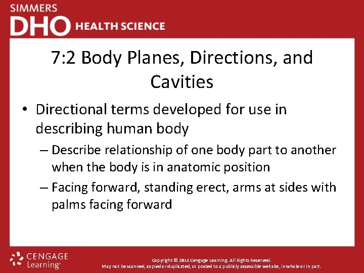 7: 2 Body Planes, Directions, and Cavities • Directional terms developed for use in