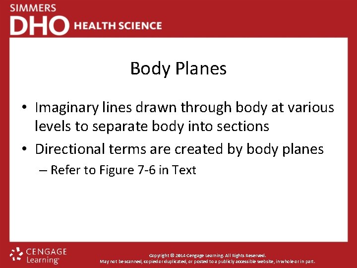Body Planes • Imaginary lines drawn through body at various levels to separate body