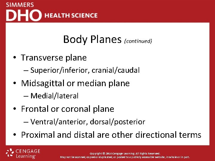 Body Planes (continued) • Transverse plane – Superior/inferior, cranial/caudal • Midsagittal or median plane