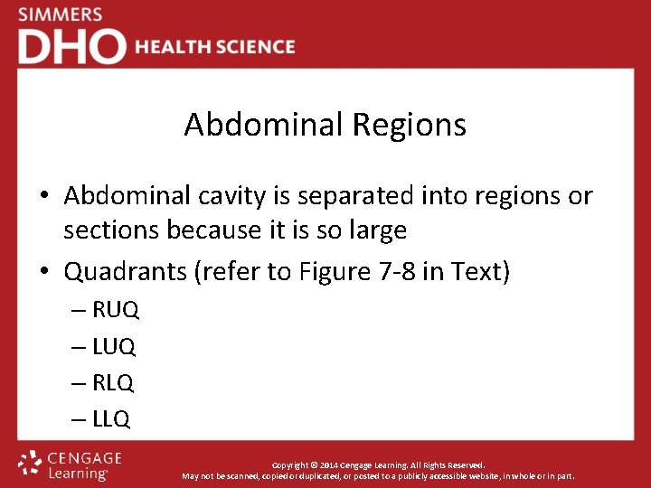 Abdominal Regions • Abdominal cavity is separated into regions or sections because it is