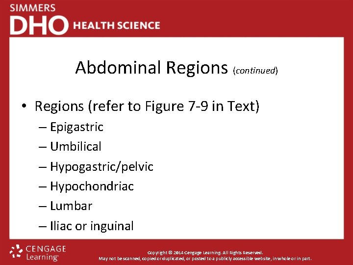 Abdominal Regions (continued) • Regions (refer to Figure 7 -9 in Text) – Epigastric