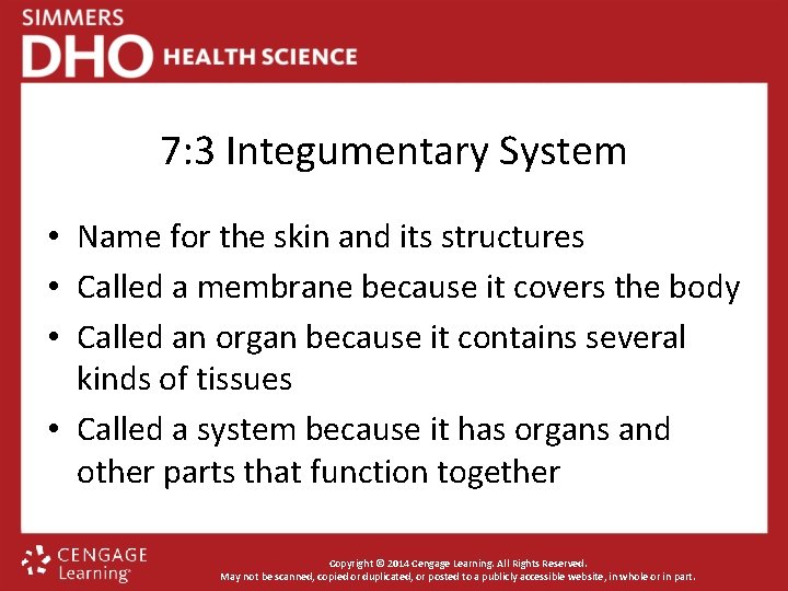 7: 3 Integumentary System • Name for the skin and its structures • Called