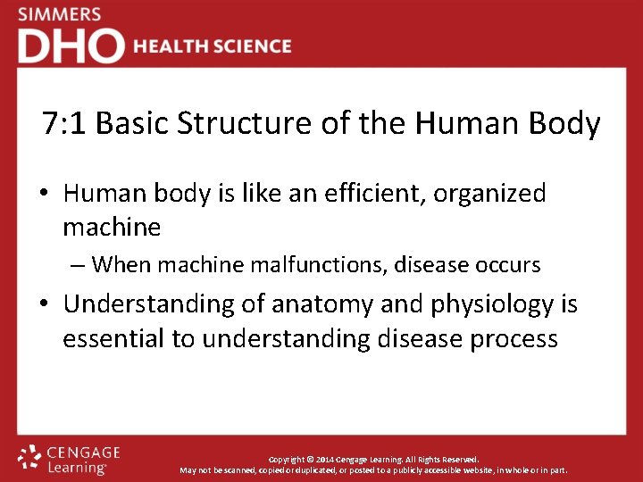 7: 1 Basic Structure of the Human Body • Human body is like an