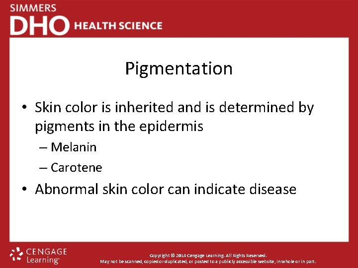 Pigmentation • Skin color is inherited and is determined by pigments in the epidermis