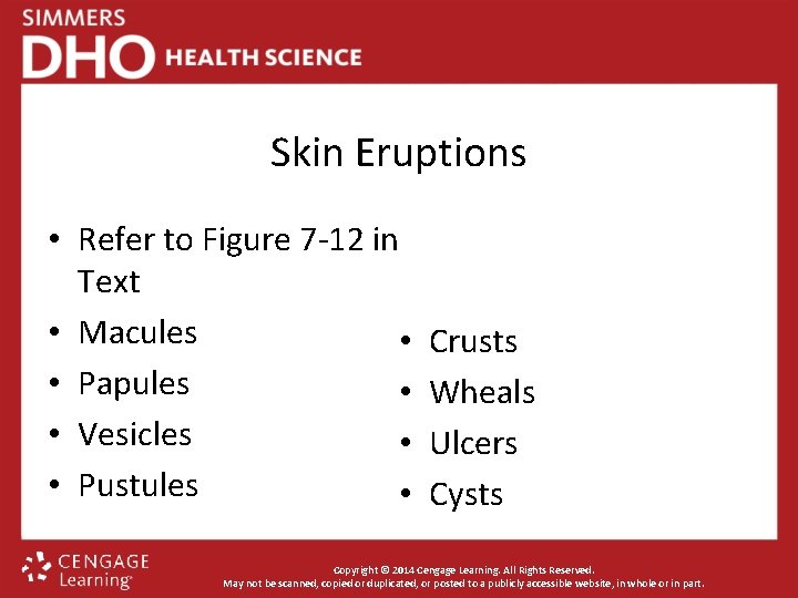 Skin Eruptions • Refer to Figure 7 -12 in Text • Macules • •