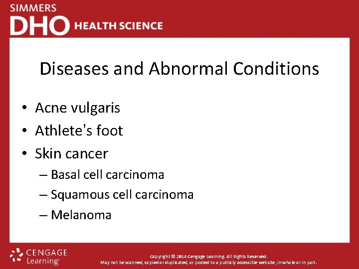 Diseases and Abnormal Conditions • Acne vulgaris • Athlete’s foot • Skin cancer –