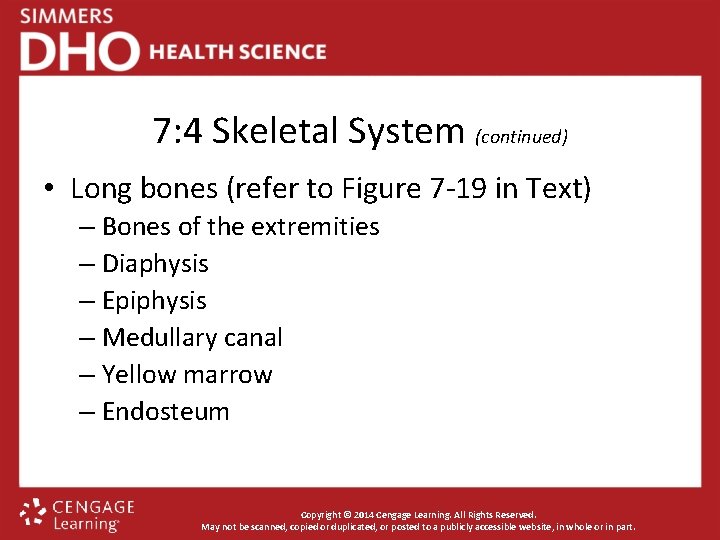 7: 4 Skeletal System (continued) • Long bones (refer to Figure 7 -19 in