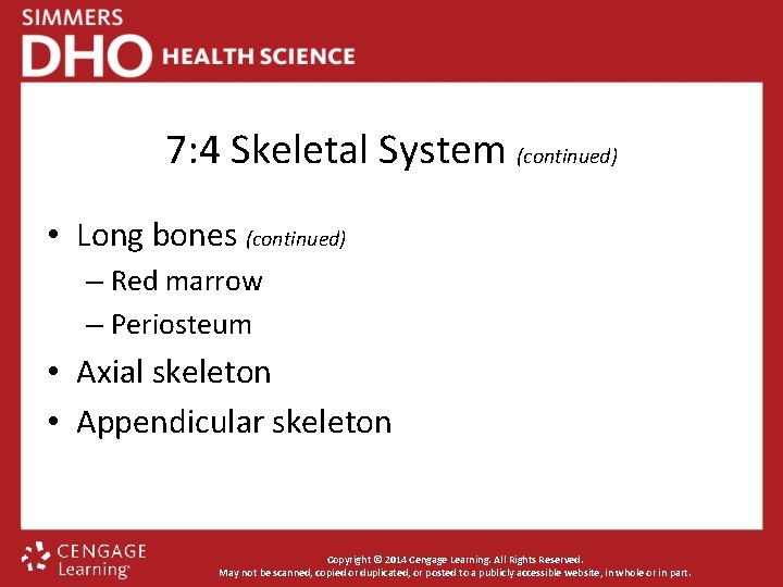 7: 4 Skeletal System (continued) • Long bones (continued) – Red marrow – Periosteum