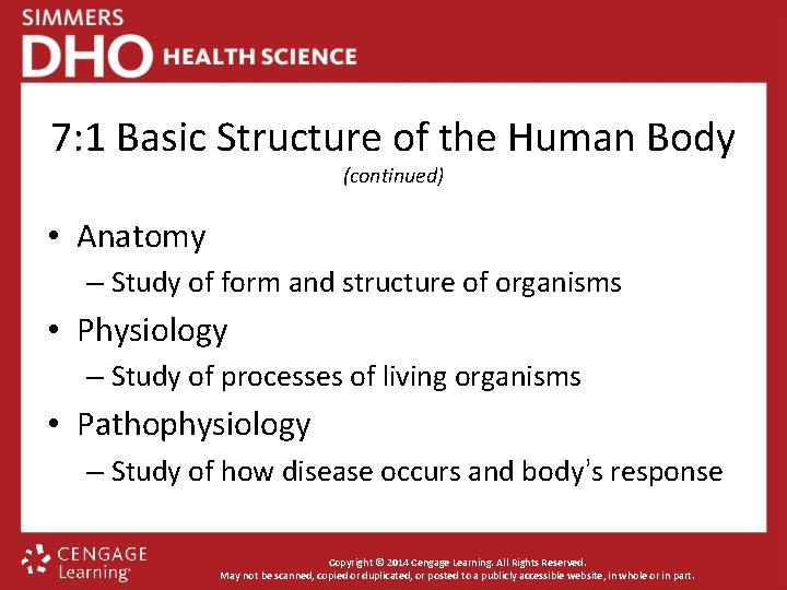 7: 1 Basic Structure of the Human Body (continued) • Anatomy – Study of