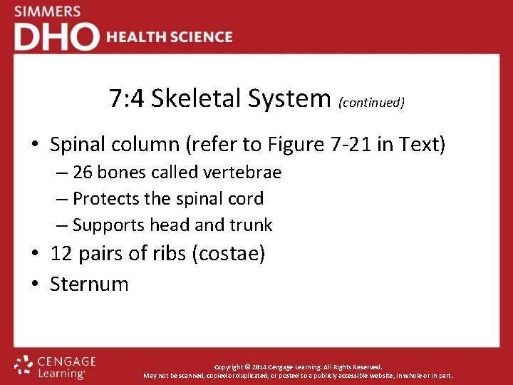 7: 4 Skeletal System (continued) • Spinal column (refer to Figure 7 -21 in
