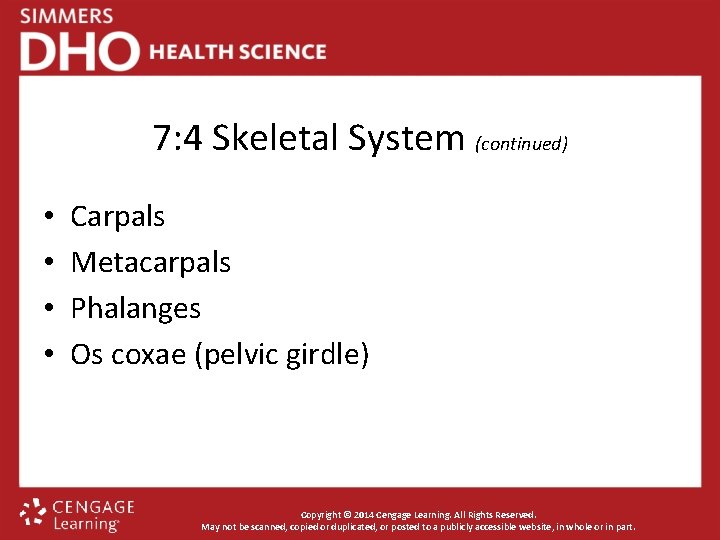 7: 4 Skeletal System (continued) • • Carpals Metacarpals Phalanges Os coxae (pelvic girdle)