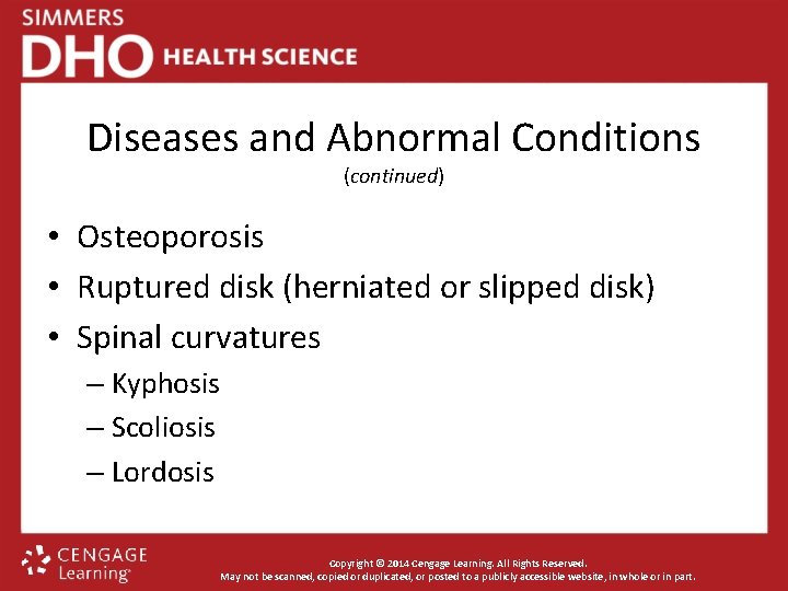 Diseases and Abnormal Conditions (continued) • Osteoporosis • Ruptured disk (herniated or slipped disk)