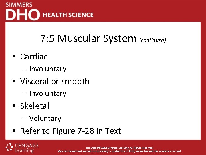 7: 5 Muscular System (continued) • Cardiac – Involuntary • Visceral or smooth –