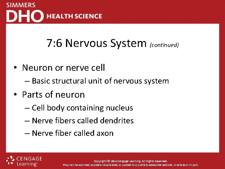 7: 6 Nervous System (continued) • Neuron or nerve cell – Basic structural unit