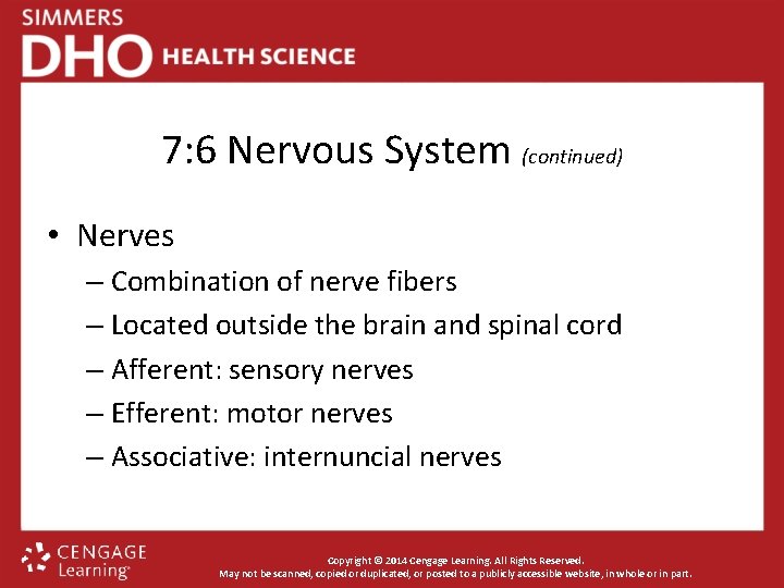 7: 6 Nervous System (continued) • Nerves – Combination of nerve fibers – Located