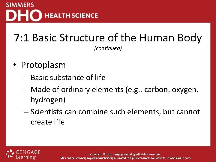 7: 1 Basic Structure of the Human Body (continued) • Protoplasm – Basic substance