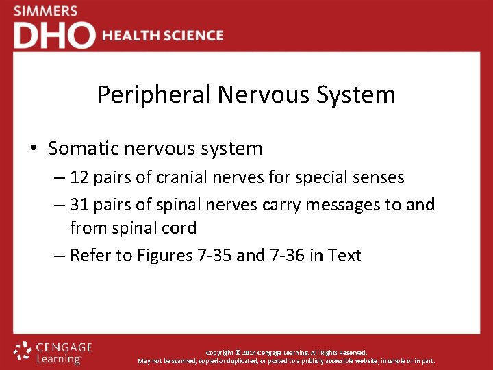 Peripheral Nervous System • Somatic nervous system – 12 pairs of cranial nerves for