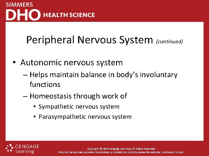 Peripheral Nervous System (continued) • Autonomic nervous system – Helps maintain balance in body’s