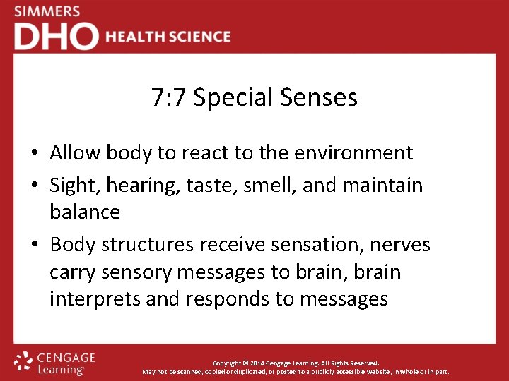 7: 7 Special Senses • Allow body to react to the environment • Sight,