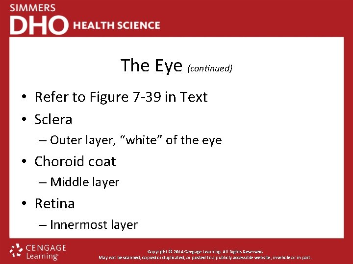 The Eye (continued) • Refer to Figure 7 -39 in Text • Sclera –