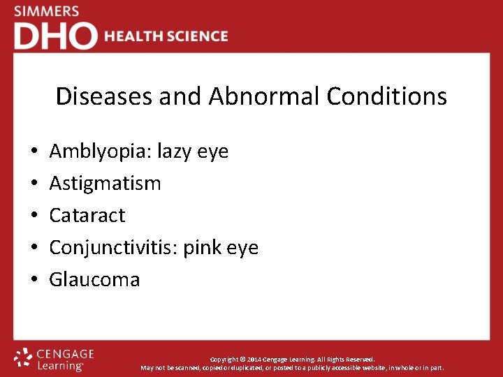 Diseases and Abnormal Conditions • • • Amblyopia: lazy eye Astigmatism Cataract Conjunctivitis: pink