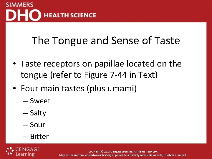 The Tongue and Sense of Taste • Taste receptors on papillae located on the