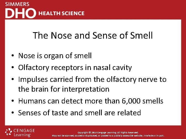 The Nose and Sense of Smell • Nose is organ of smell • Olfactory