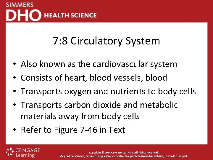 7: 8 Circulatory System Also known as the cardiovascular system Consists of heart, blood