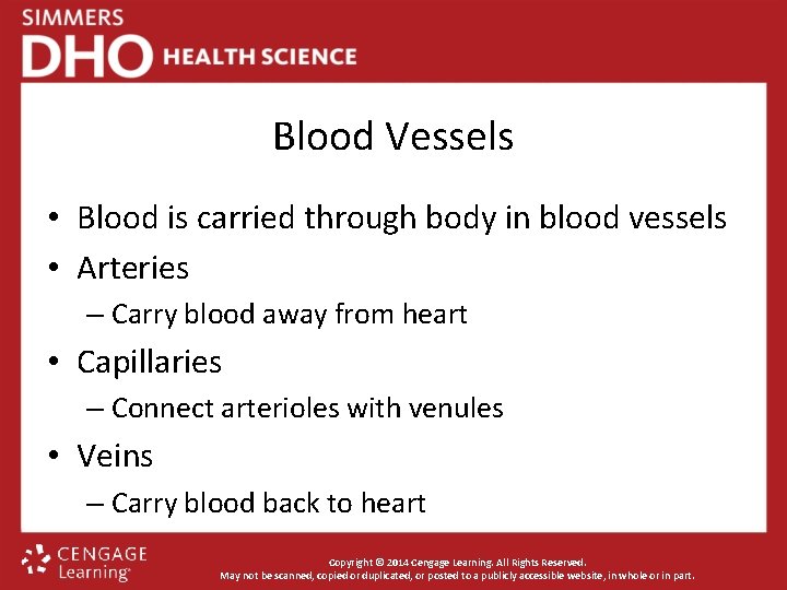 Blood Vessels • Blood is carried through body in blood vessels • Arteries –