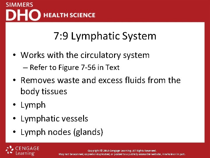 7: 9 Lymphatic System • Works with the circulatory system – Refer to Figure