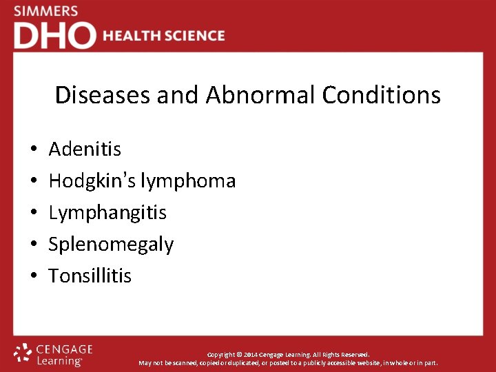 Diseases and Abnormal Conditions • • • Adenitis Hodgkin’s lymphoma Lymphangitis Splenomegaly Tonsillitis Copyright