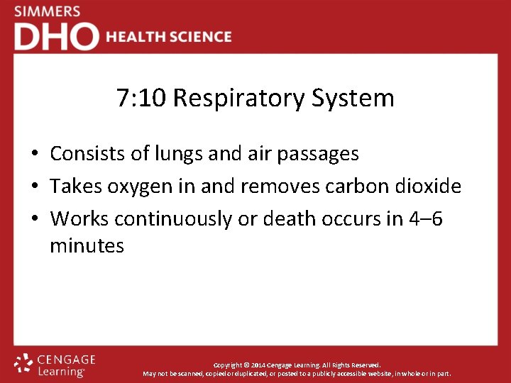 7: 10 Respiratory System • Consists of lungs and air passages • Takes oxygen